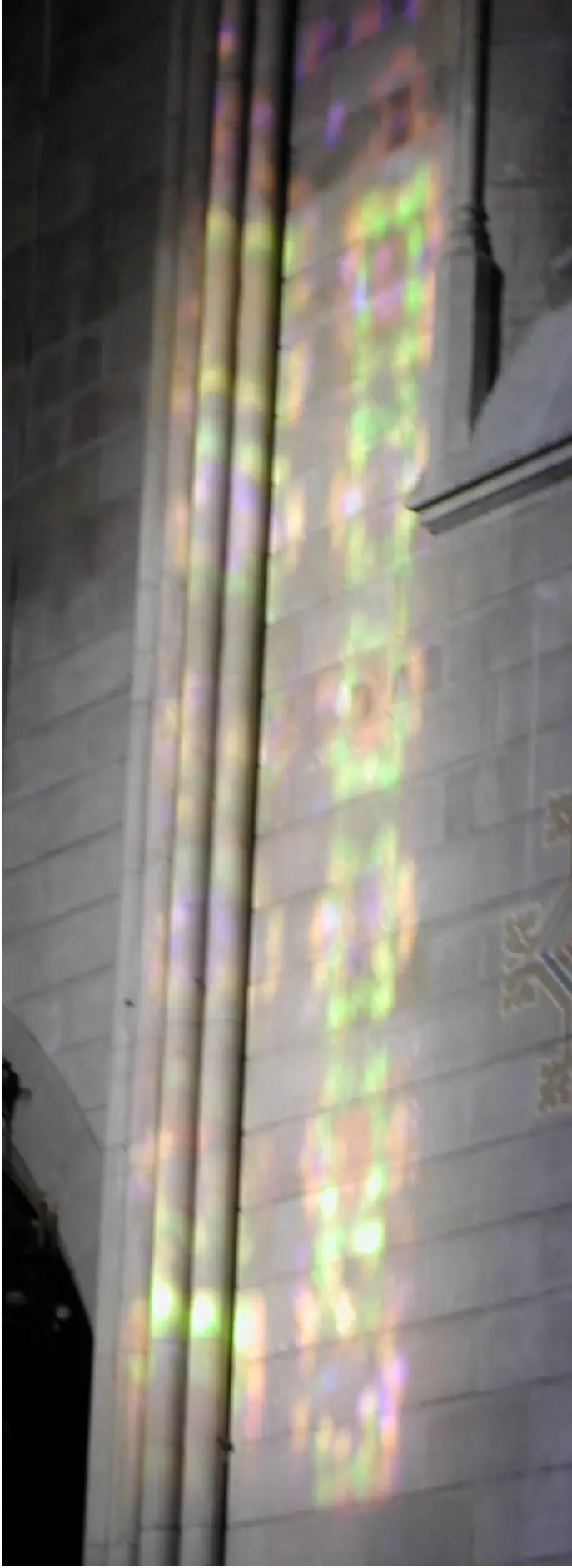 サグラダ・ファミリア 柱に映る光の反射